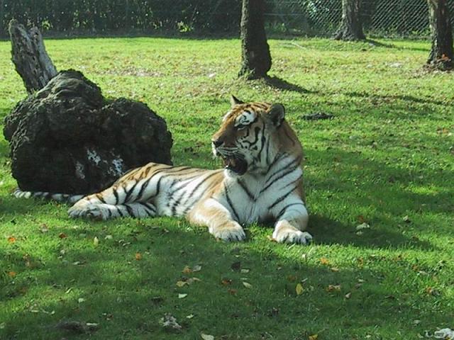 2006-10-30 13-25-47.jpg